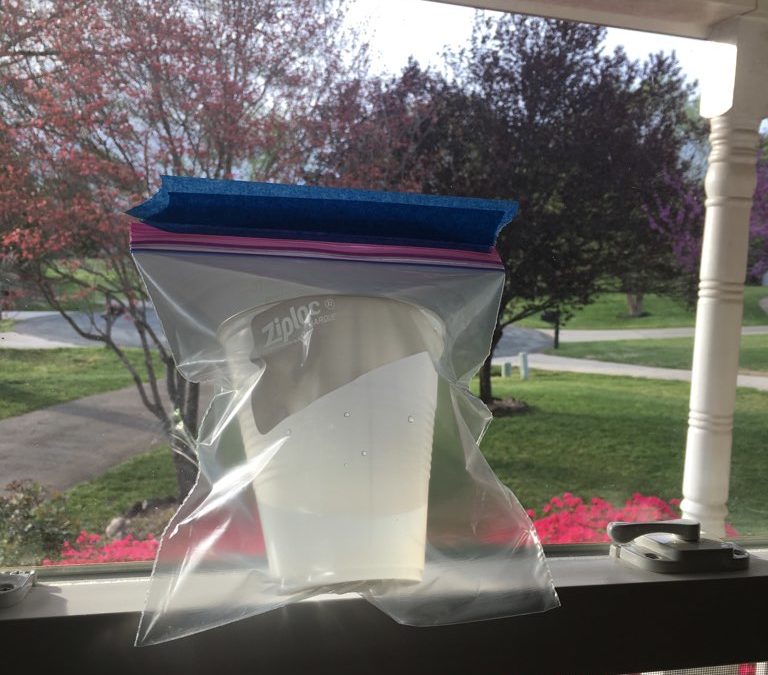 Water Cycle in a Bag Experiment