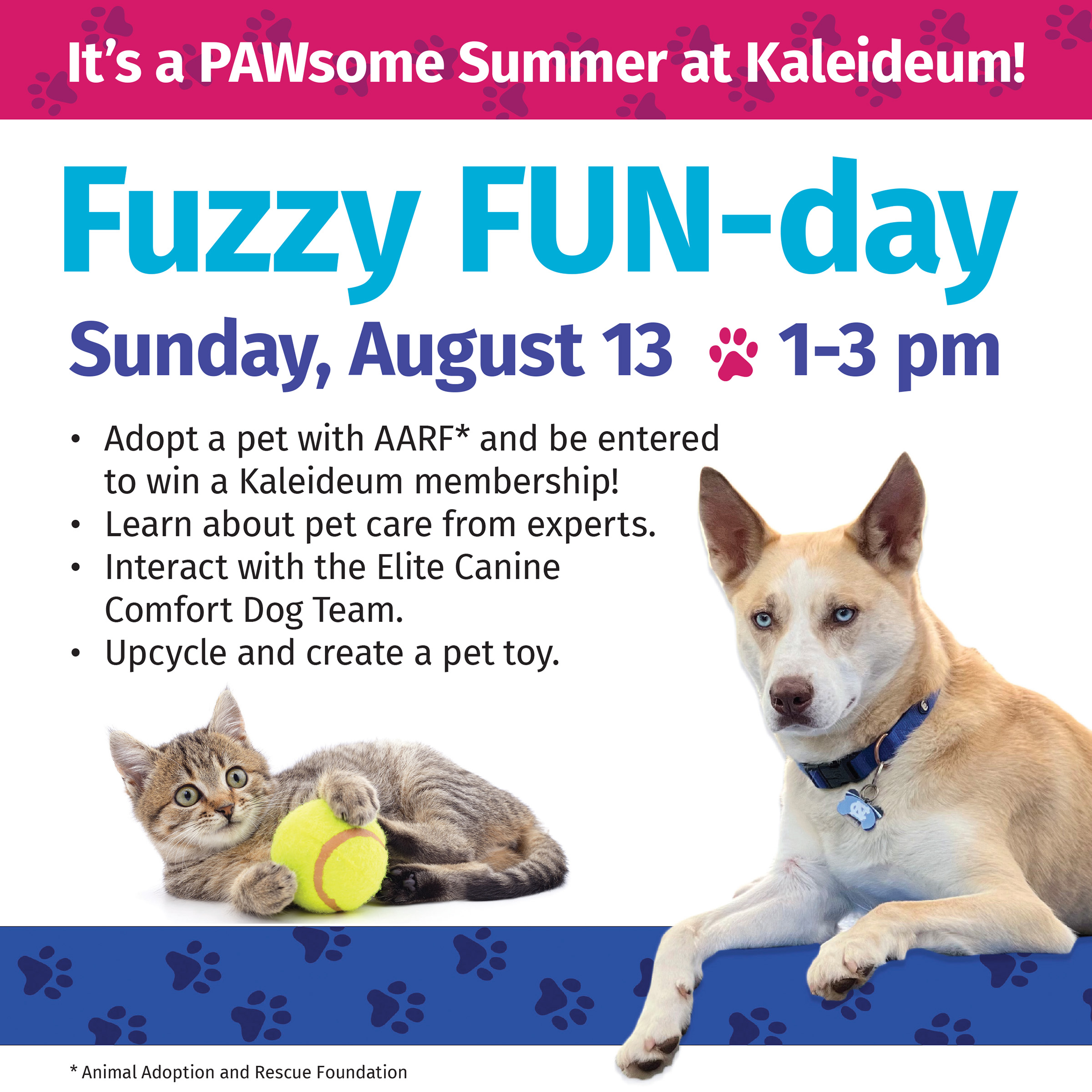 It's a PAWsome Summer at Kaleideum! Fuzzy FUN-day Sunday, August 13 1-3 pm Adopt a pet with AARF* and be entered to win a Kaleideum membership! Learn about pet care from experts. Interact with the Elite Canine Comfort Dog Team. Upcycle and create a pet toy.